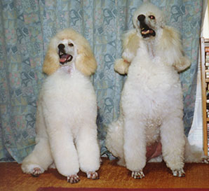two sitting