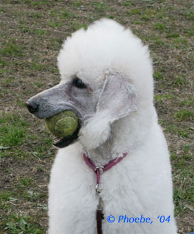 Nanako holding a ball